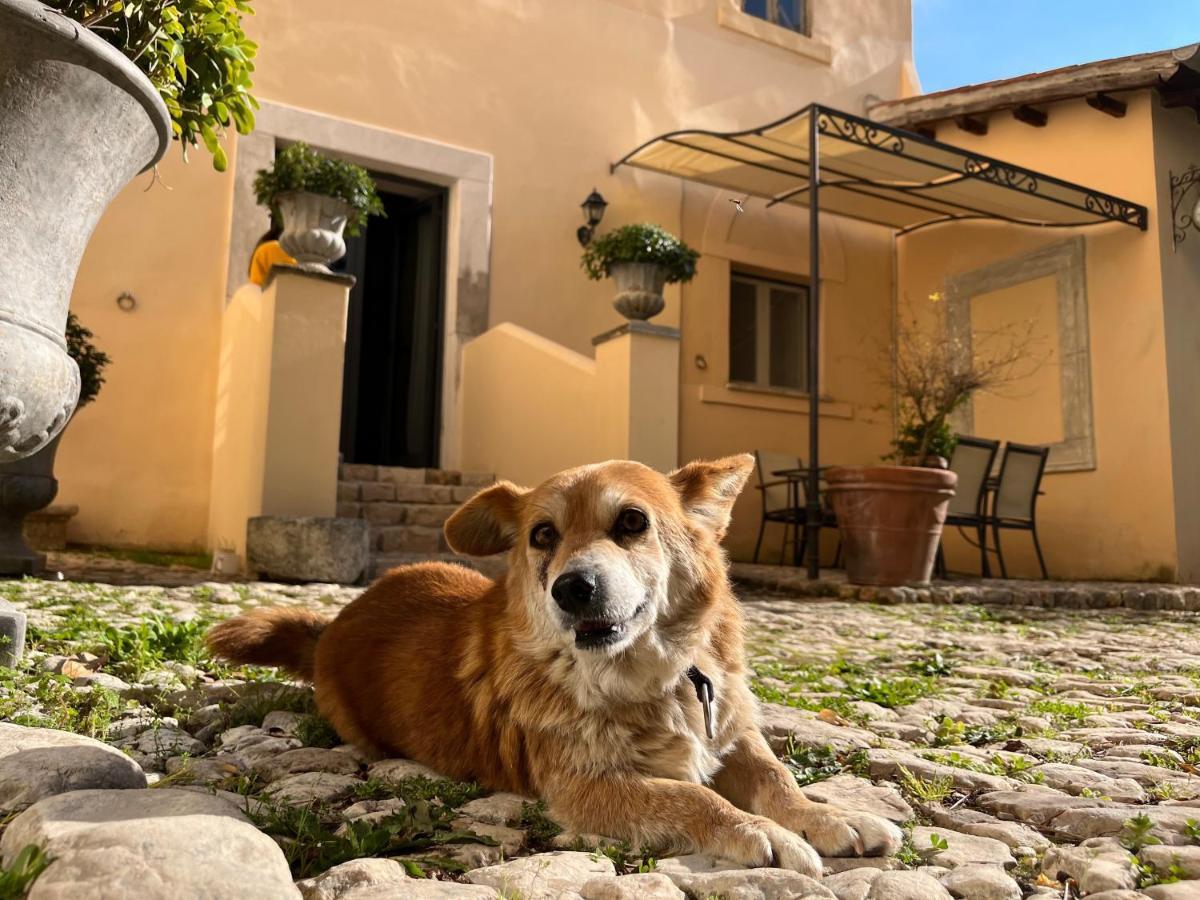 Agriturismo Castello Santa Margherita Cori Экстерьер фото